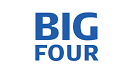 Big 4 Consulting Firm